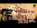 PANKHIDA NE AA PINJRU JUNU JUNU LAAGE