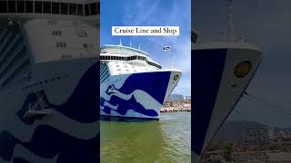 What you need to know to budget for your next #cruise. #shorts #cruiseship