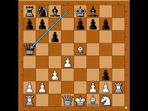 Ko bi rekao čuda da se dese da beloga Dama sad potrese ☆  SCHUSTER vs CARLS # 1741