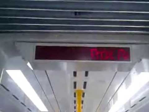 mertro de porto ligne d stcp