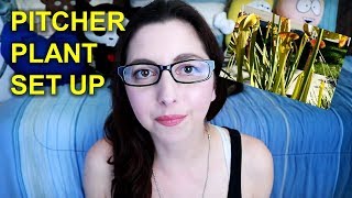 Pitcher Plant Update! My Mini Outdoor Pond Experiment