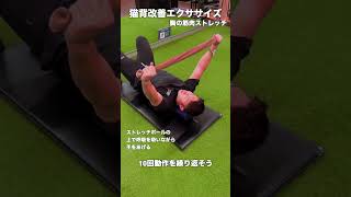 猫背のデメリットがやばすぎる