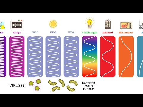 Ultraviolet (UV) Can Kill Bacteria & Viruses – Learn The Basics