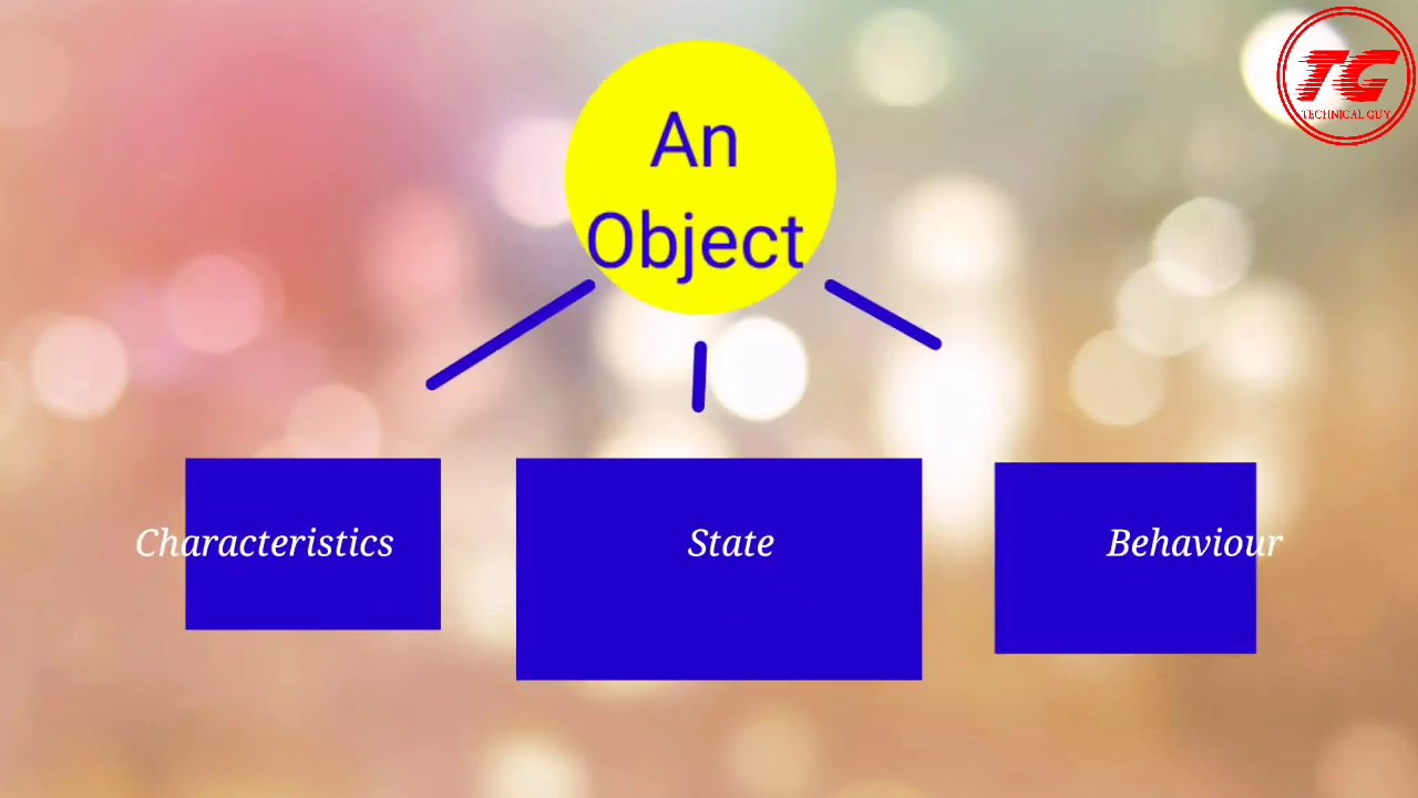 Elementary Concepts Of Objects and Classes