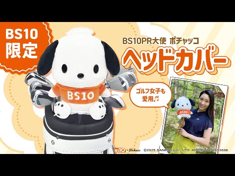 ヘッドカバーインフォマ 30秒