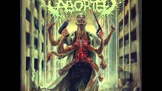 Aborted - Purity Of Perversion