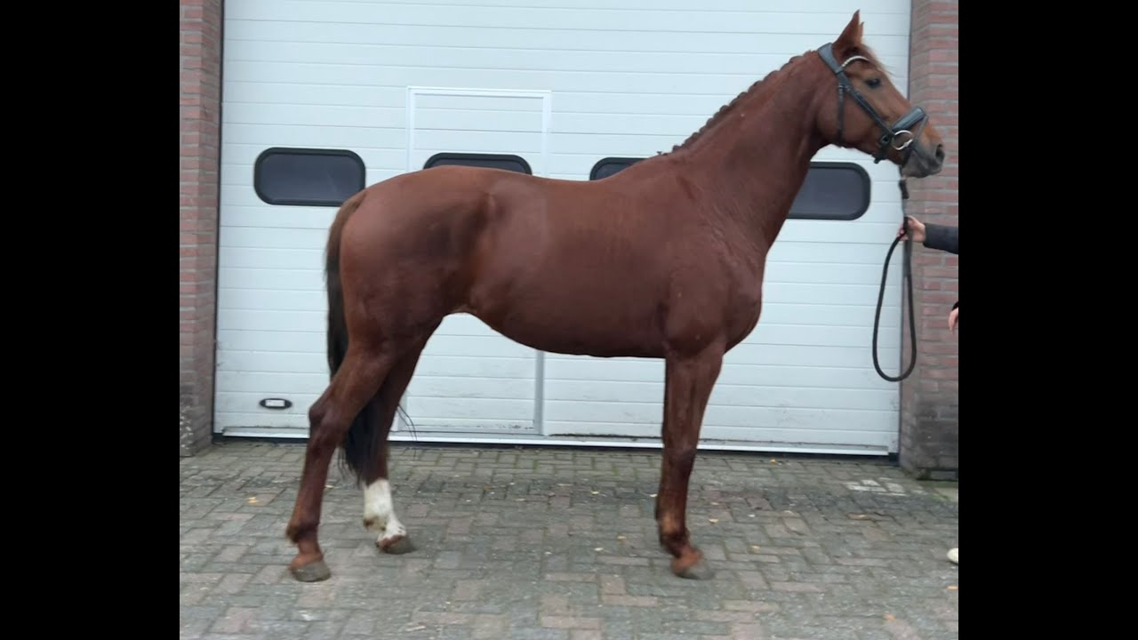 Orange (FERDINAND x LORD LEATHERDALE) video 1