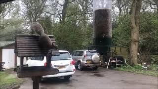 [問卦] 看完星際效應如何排解情緒？