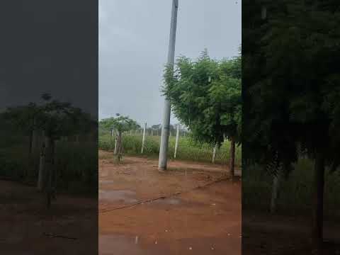 Chuva em Ipueira RN