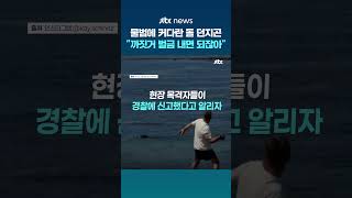 물범에 머리만 한 돌 던지곤 "까짓거 벌금 내면 되잖아"...하와이서 난동 부린 관광객 #JTBC #Shorts