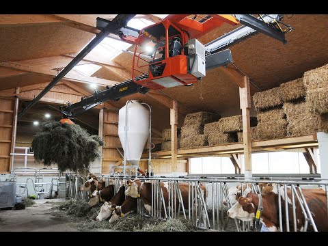 Neuer Laufstall: Gesamtpaket für 20 Bio-Milchkühe