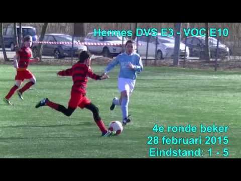 Samenvatting Hermes DVS E3 -  VOC E10