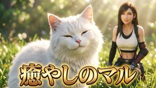 FINAL FANTASY VII REBIRTH　58　マルに癒される回