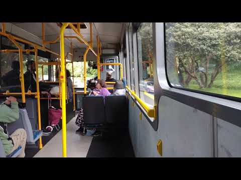 NZ: M.A.N 18.280 (NZ BUS): 3-Lyall Bay via. Massey Uni, Newtown