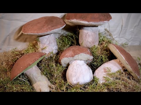 How to Make Realistic Fake Mushrooms