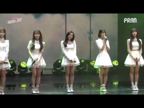 OH MY GIRL(오마이걸) - Butterfly Live(180109 Secret garden Showcase)