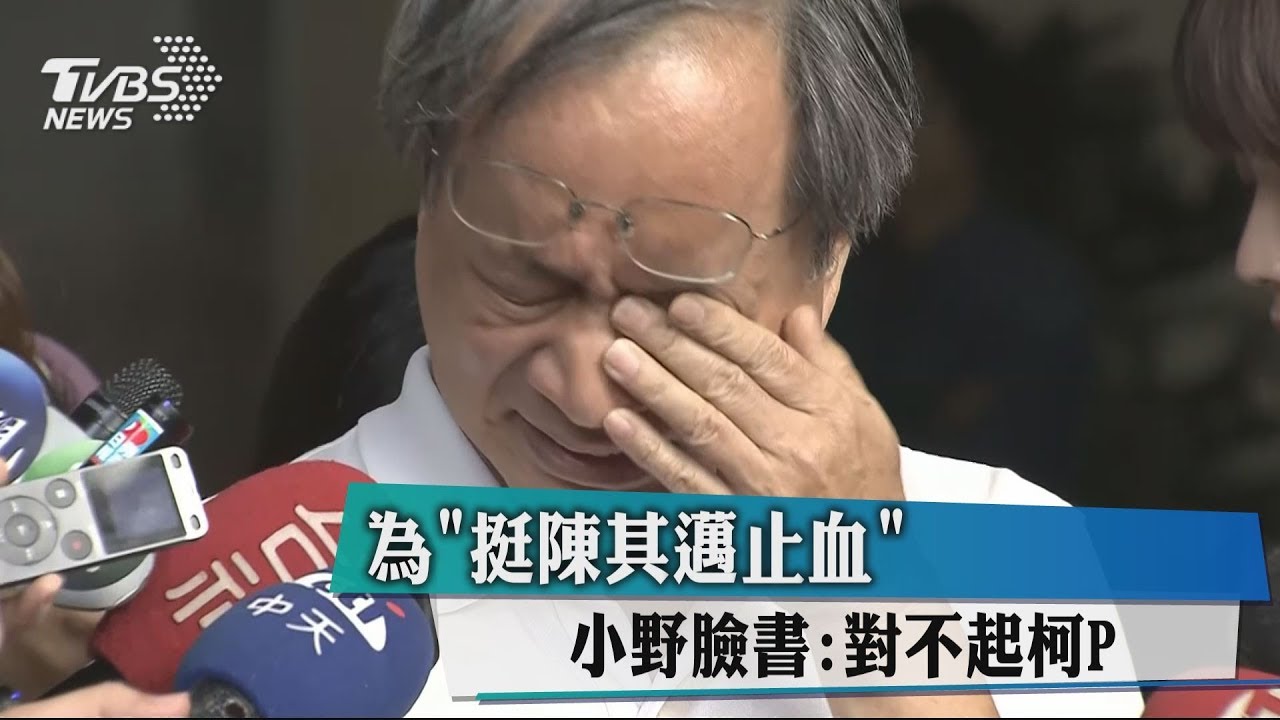 為「挺陳其邁止血」 小野臉書:對不起柯P
