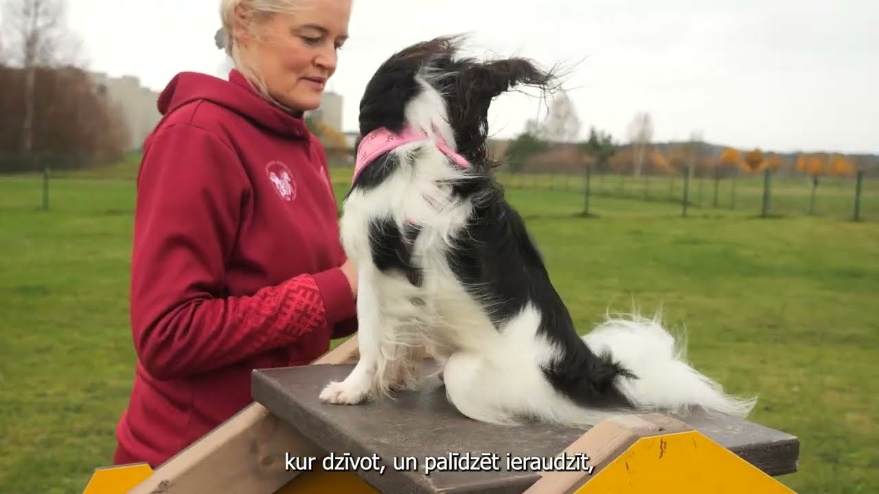 Idejas tiek īstenotas! Suņu laukums Ventspilī