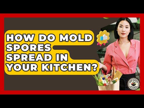 How Do Mold Spores Spread In Your Kitchen? - Food Safety Kitchen