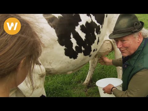 , title : 'Melken lernen - Wie melkt man eine Kuh richtig?'