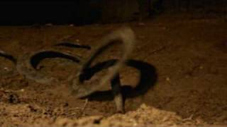 The new quoit pit experience