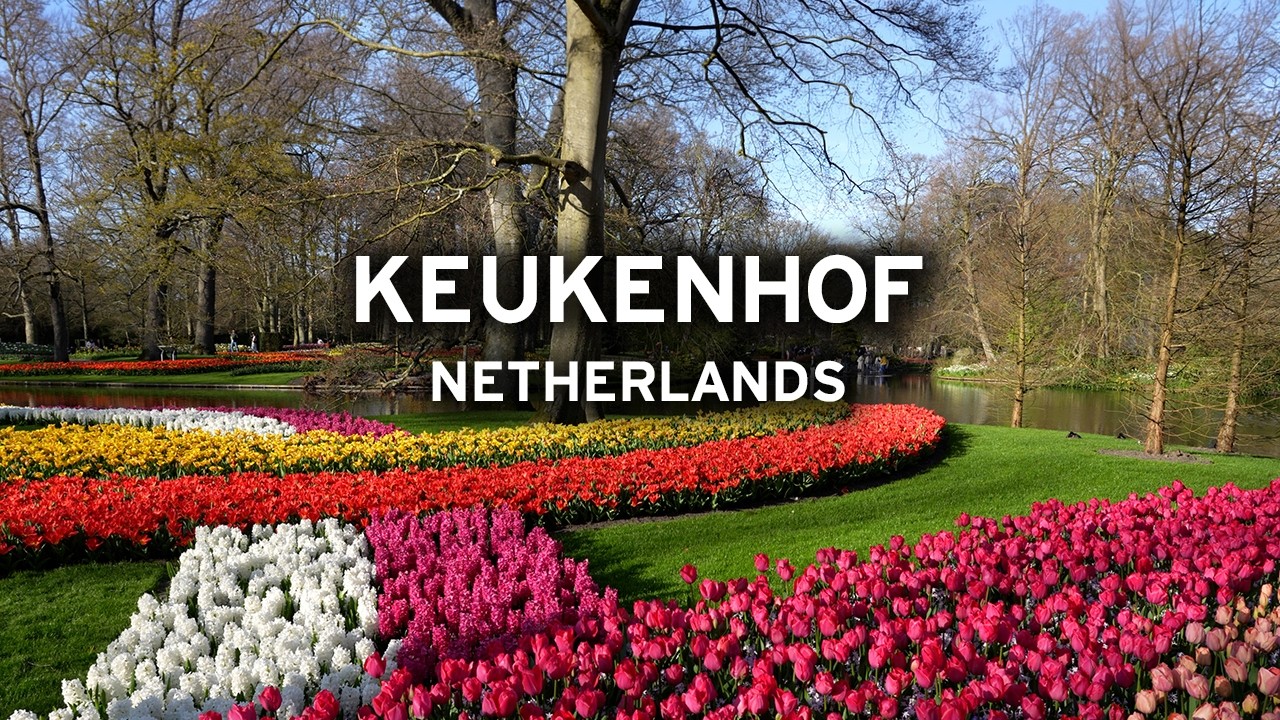 🇳🇱 Keukenhof Gardens in April 🌷 - Stunning Tulips Under the Spring Sun  [4K]