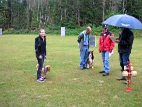 Bewertung Xandrino Osttirol Cup 09 (OG65 Abfaltersbach)