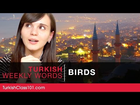 Turkish Weekly Words with Selin - Birds