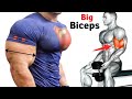 The Best Science Based Biceps Exercises For Size