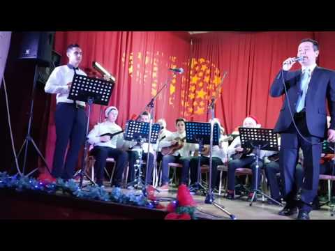 Novogodišnji koncert TŠ Batorek 2016.