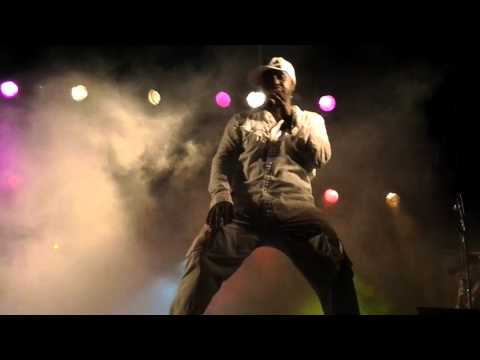 Bandeirão Regueiro no Show do Mito Internacional Pato Banton no Brasil