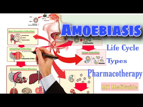 Amoebiasis: Pathophysiology, Life cycle & Pharmacotherapy - Pharmacology