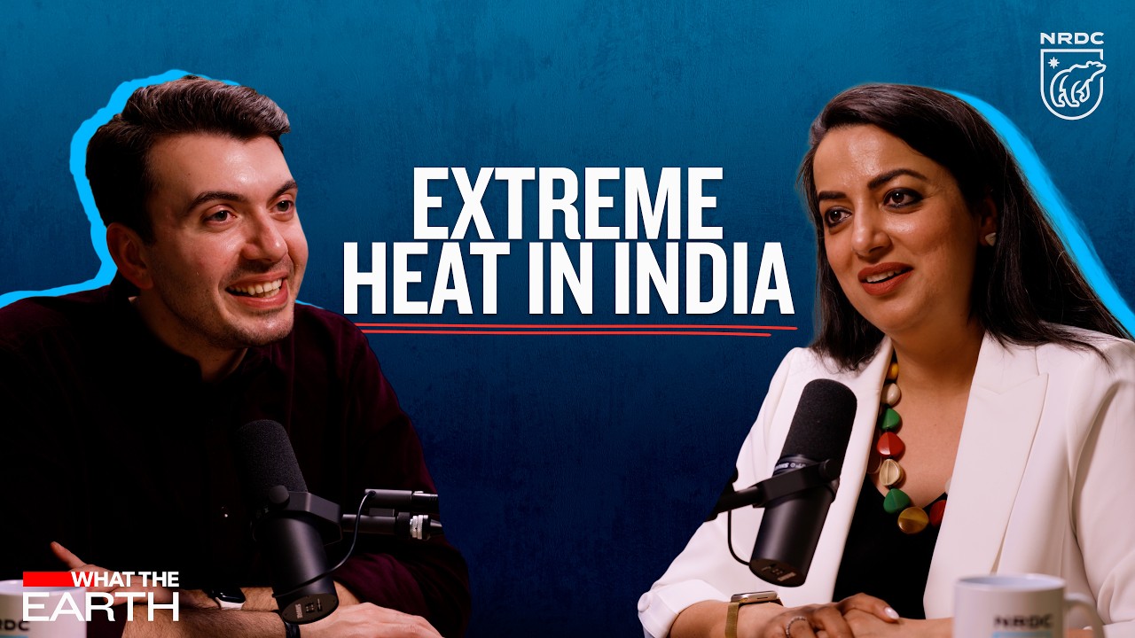Extreme Heat in India and Beyond | What the Earth, Episode 14