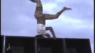 Jamaican Female Dancer fall off sound box / PSYCHO TANBAD 40 SHORTY SONG