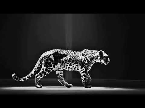 Ece Seçkin - Hoşuna mı Gidiyor (Tiktok Remix)