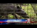 Texas Family Claims To Have Caught Chupacabra