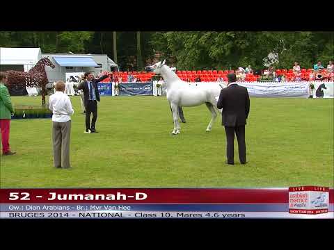 Bruges - National Show - Class 10