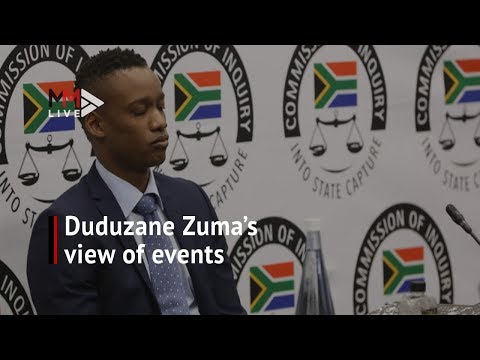 'I happen to be a lampshade' Duduzane’s side of events in 5 quotes