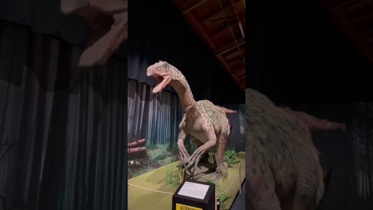 YouTube Short thumbnail