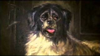 Silkworm - Don&#39;t Make Plans This Friday Night