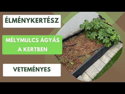 Hogyan áll a mélymulcs ágyás?🍃🪵