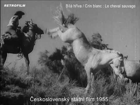 Bílá hříva (1953) - Československý státní film 1955