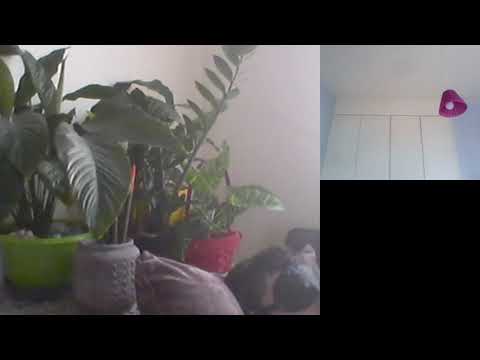 Hipn ezoterica 449 Constantin isi intelege rolul si nu regreta C si A Moraru