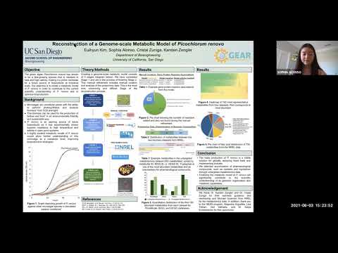 GEAR 2021 - Reconstruction of the Genome-scale Metabolic Model of Picochlorum renovo