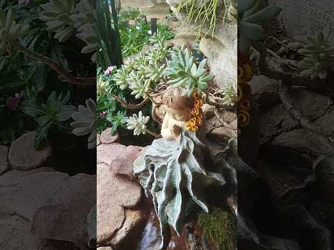 Um dia no sertão mineiro #minasgerais #roça #naturezasurpreendente