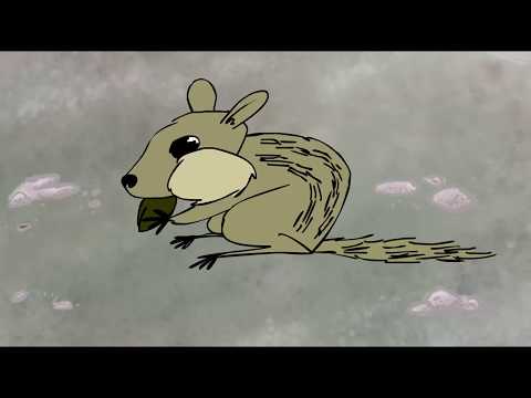 Comic book concept page - Roger and the Monster.