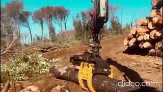 Venta de GRIPEN 028HD pinza forestal - Imagen 3 | Agroline ES GRIPEN 028HD pinza forestal | Imagen 3 - Agroline