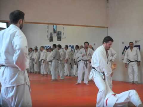ACSI JUDO - Tsubame-Gaeshi su Harai-Tsurikomi-Ashi