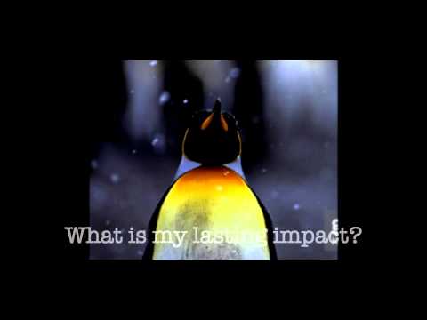 The Adventures of Existentialist Penguin