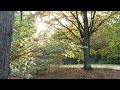 Film 1449
